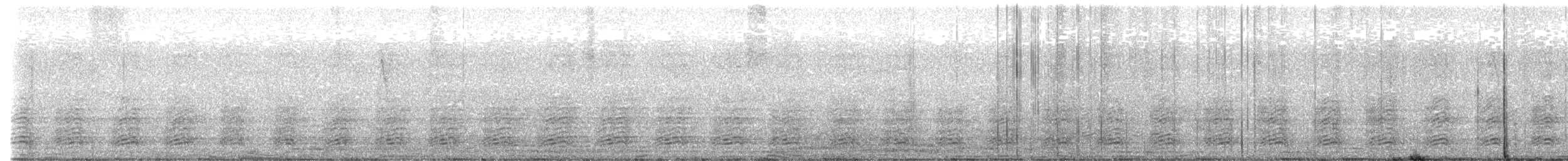 Calao à joues grises - ML638791394