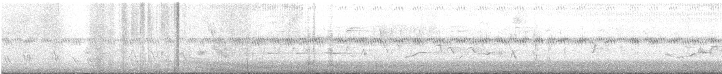vireo sp. - ML638791611