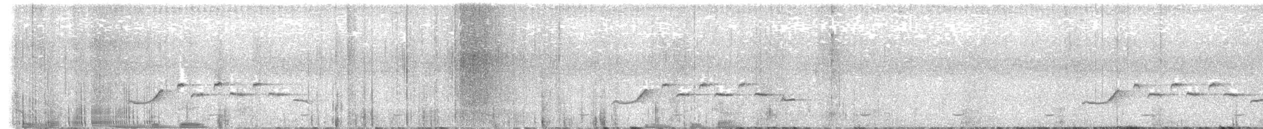 White-browed Scrub-Robin - ML638791642