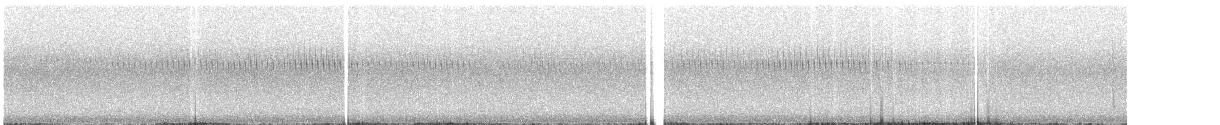 cvrčilka zelená - ML638792141