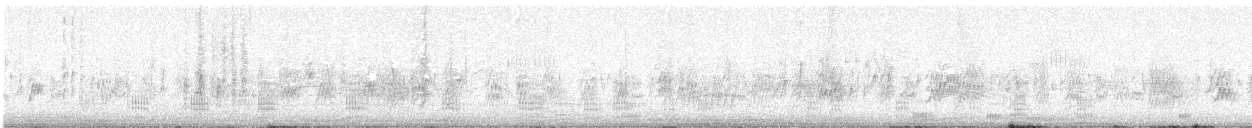 Neotropic Cormorant - ML638792800