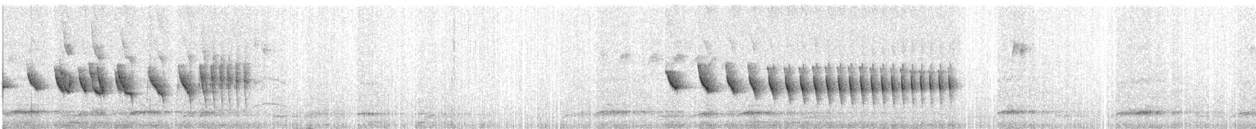 Dusky-tailed Antbird - ML638793494