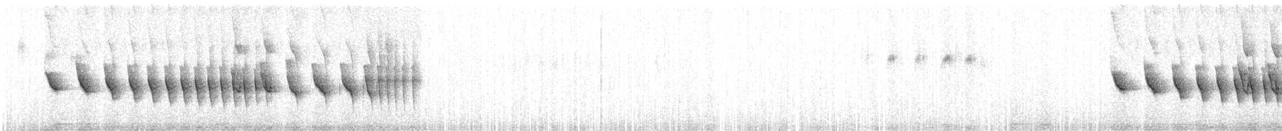 Dusky-tailed Antbird - ML638793501