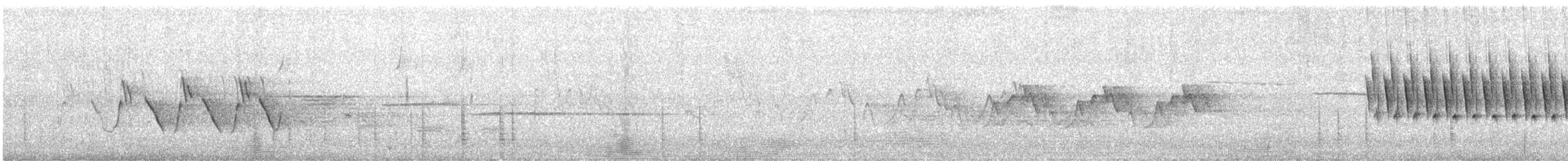 Mourning Warbler - ML638794100