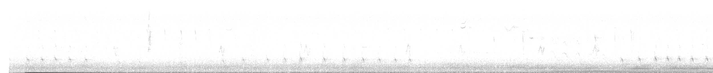 Brown-crested Flycatcher - ML638794409