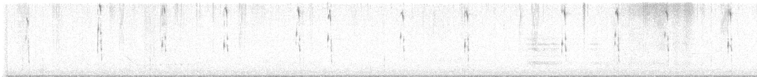 Lewis's Woodpecker - ML638795100