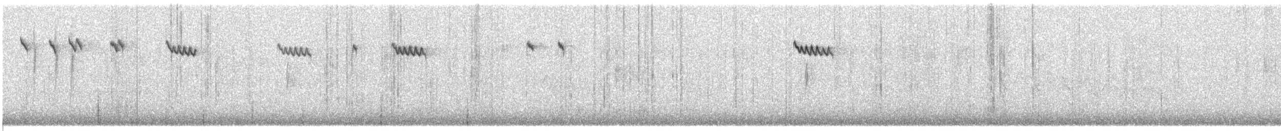 Brown Creeper - ML638795561