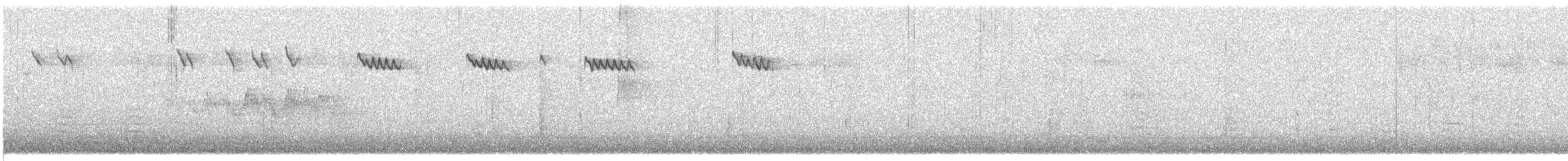 Brown Creeper - ML638795631