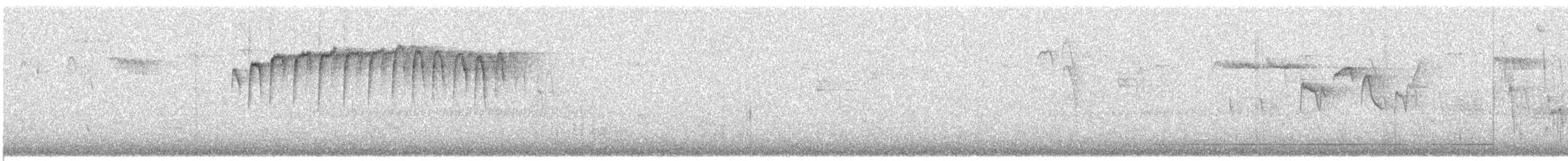 Brown Creeper - ML638795775