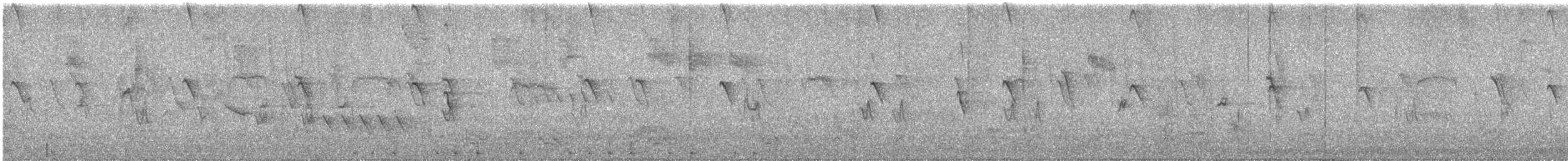 Black Phoebe - ML638796777