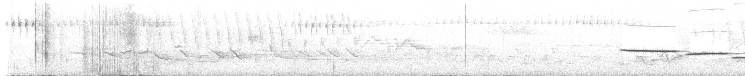 Bicknell's Thrush - ML638796865