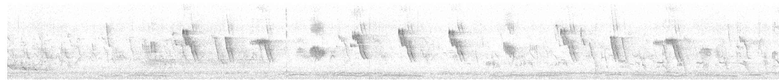 Zebra Dove - ML638797710