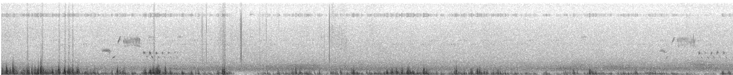 Black-throated Sparrow - ML638797842