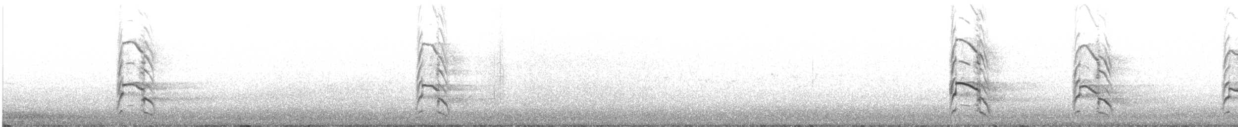 Common Gull (European) - ML638799455