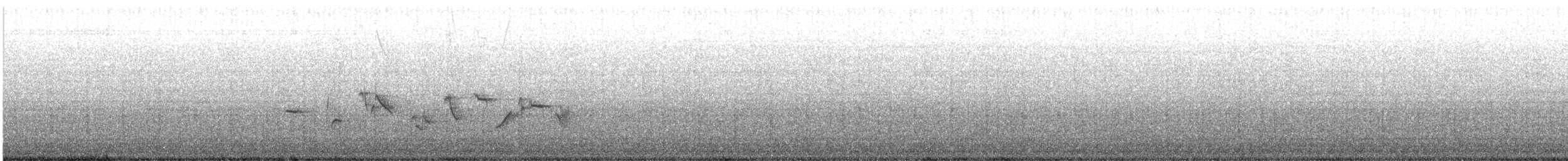 Elur-berdantza - ML638800669