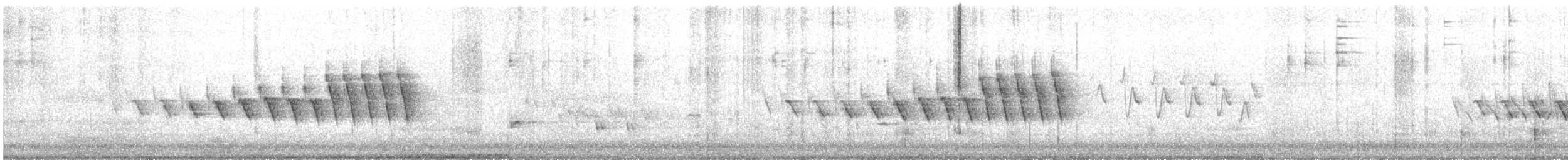 Grace's Warbler - ML638800727