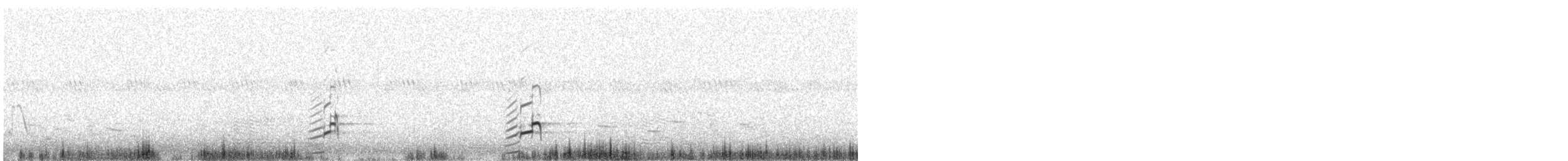 American Avocet - ML638800864