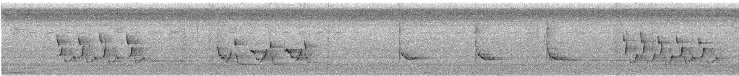 チャバラマユミソサザイ - ML638801667