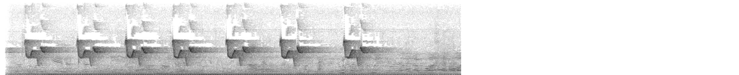 Riverside Wren - ML638802043