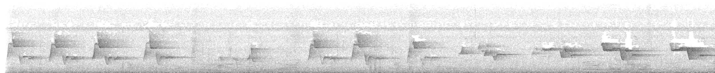 Riverside Wren - ML638802044