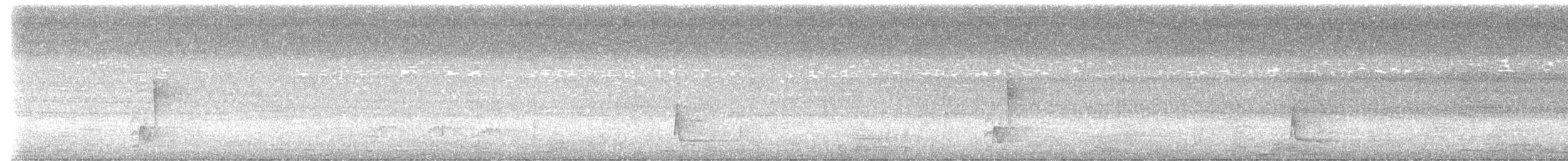 Riverside Wren - ML638802045