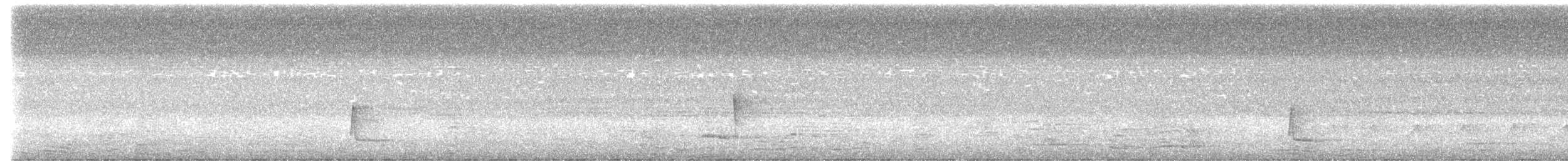 Riverside Wren - ML638802046