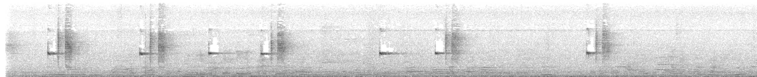Riverside Wren - ML638802047
