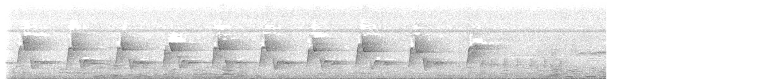 Riverside Wren - ML638802048