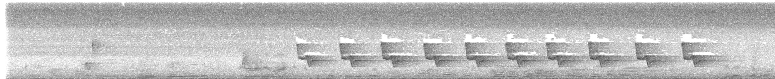 Riverside Wren - ML638802049