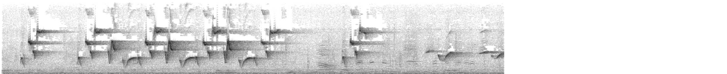 Riverside Wren - ML638802050