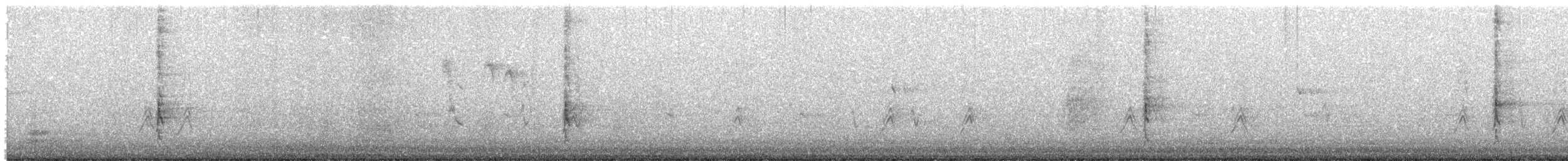 Kalifornienspottdrossel - ML638802263