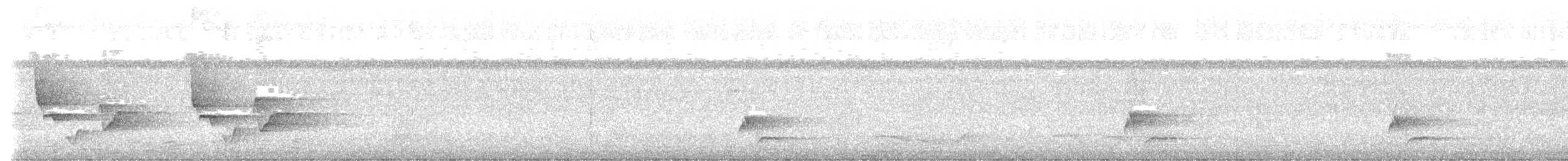 Riverside Wren - ML638802469