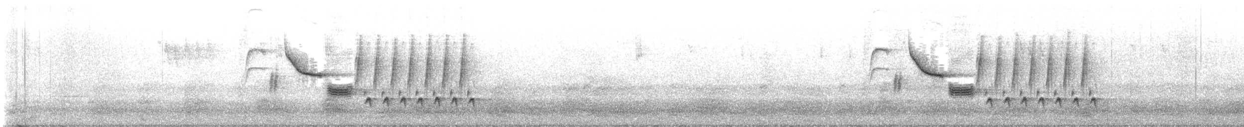 Bewick's Wren - ML638803741