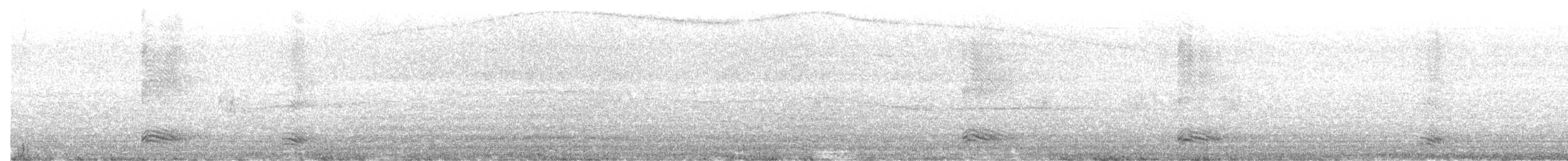 Corvus sp. (crow sp.) - ML638804104