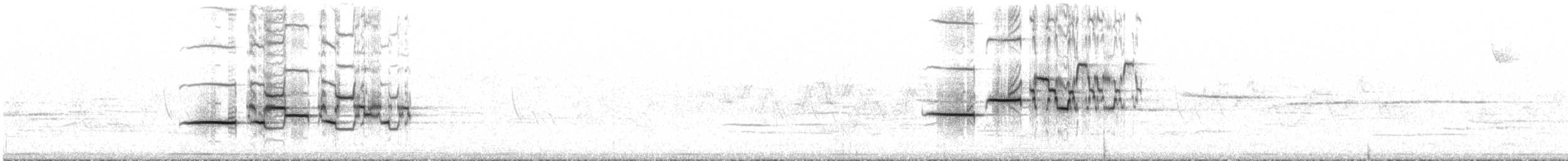 Hermit Thrush - ML638804179