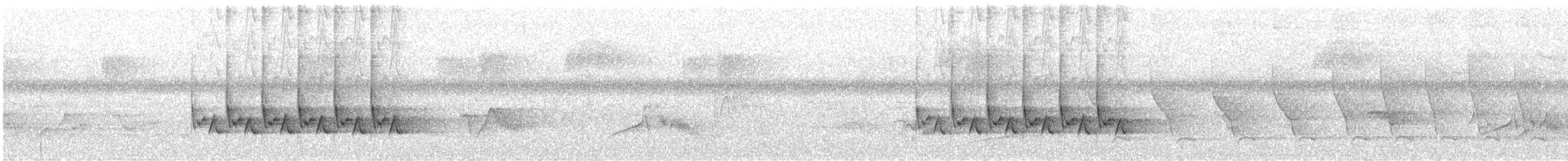 チャバラマユミソサザイ - ML638805495