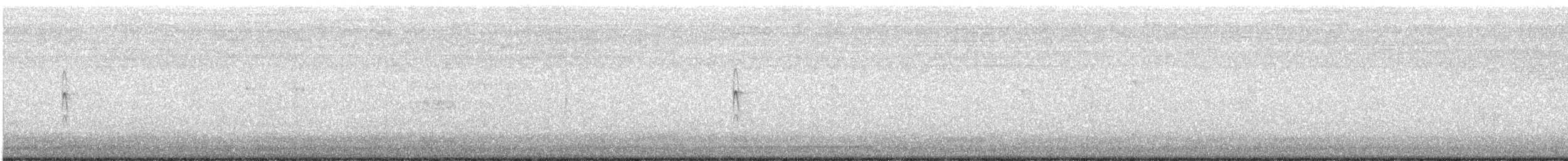 Western Kingbird - ML638805589