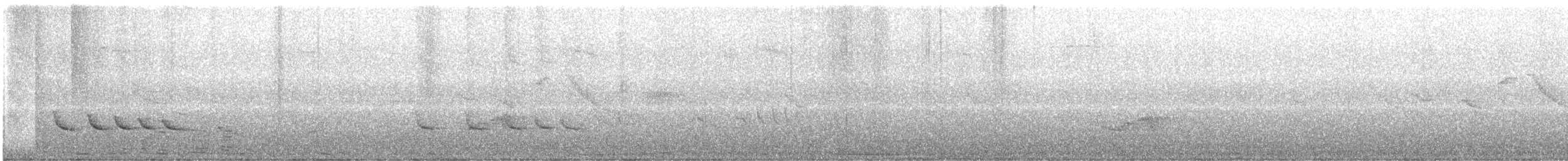 White-winged Becard - ML638805716