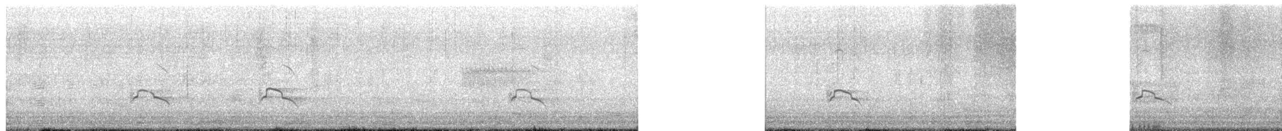 marmordvergteist - ML638806927