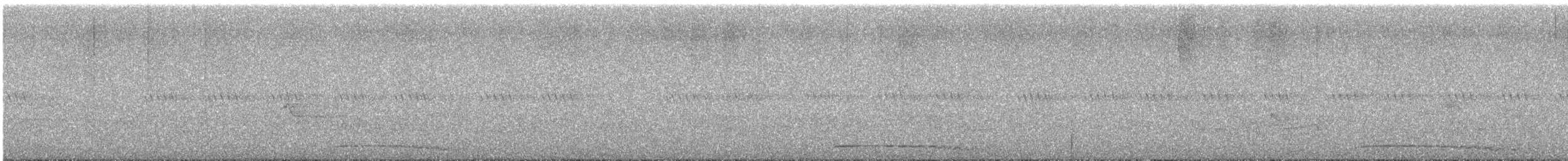 Eastern Screech-Owl - ML638807021