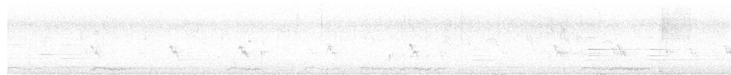 Zebra Dove - ML638807628