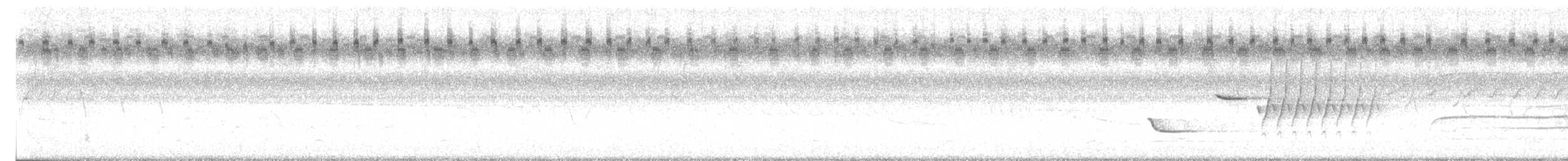 Red-tailed Hawk - ML638807979