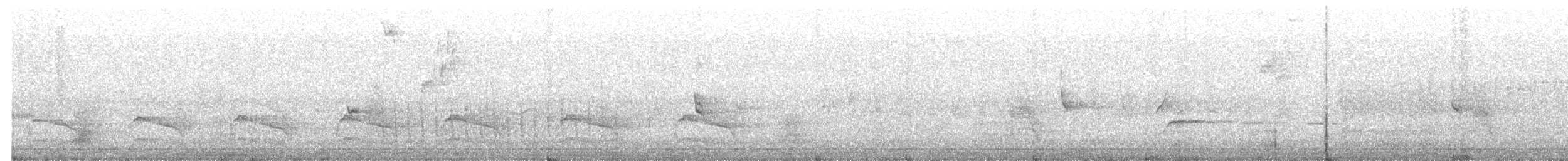 Red-shouldered Hawk - ML638808423