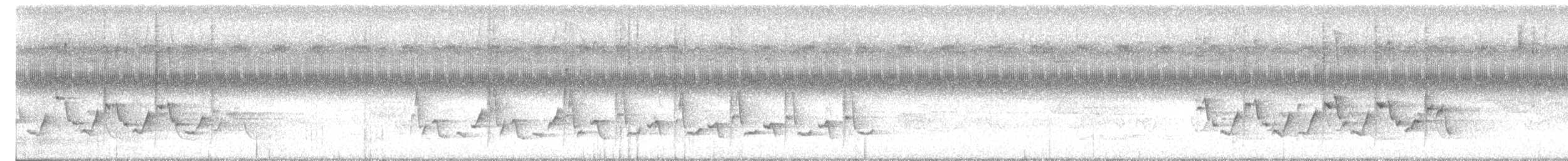 チャバラマユミソサザイ - ML638808449