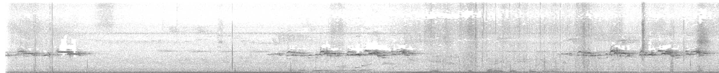 Cossyphe d'Archer (archeri) - ML638808837