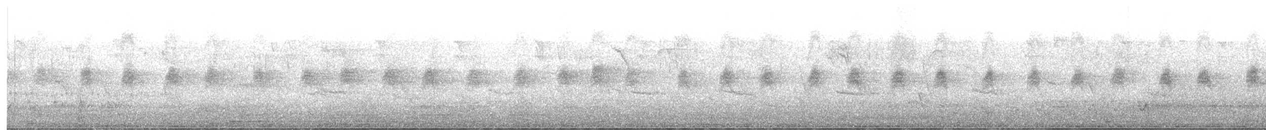 Abyssinian Thrush - ML638808977