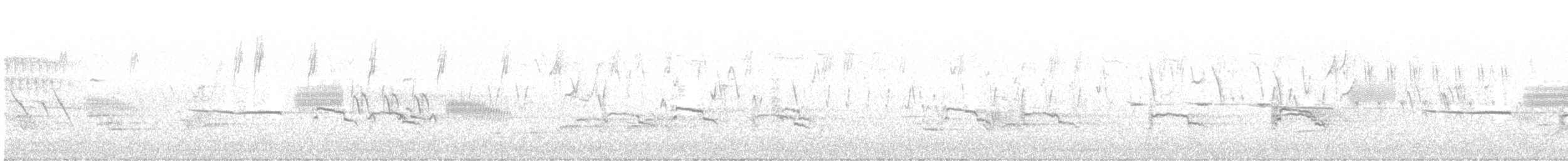 marmordvergteist - ML638809025
