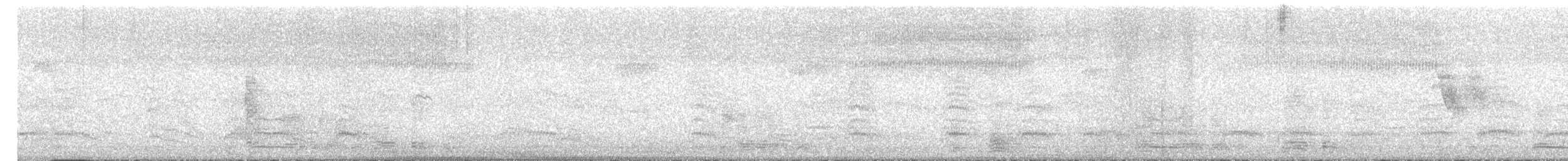Black-headed Gull - ML638809362