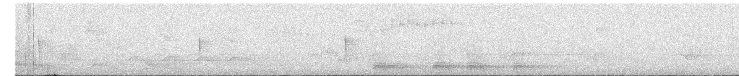 kentuckyparula - ML638809390