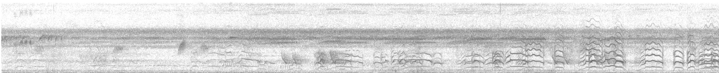 オオハシアジサシ - ML638809758